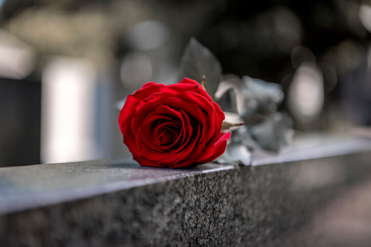 Flower on memorial stone close up